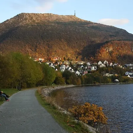 Luxurious Retreat In The Middle Of Center Берген