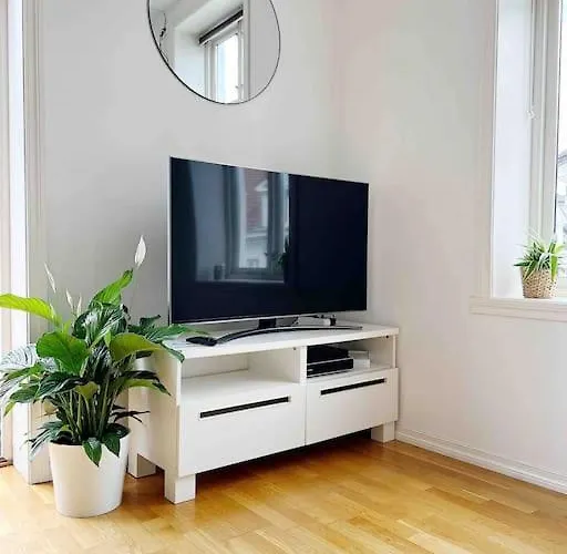 Luxurious Retreat In The Middle Of Center Apartment Bergen