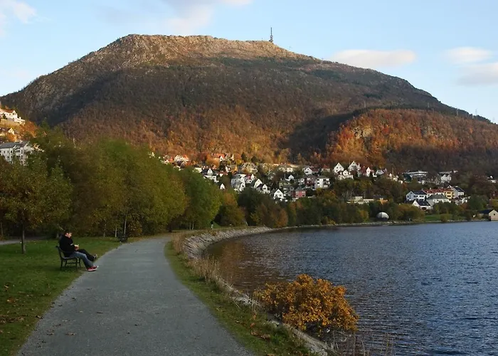 Luxurious Retreat In The Middle Of Center Bergen